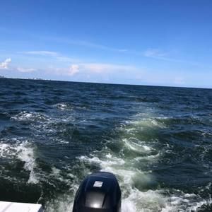 Meet your Posher, Chad